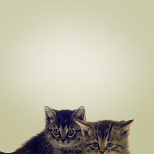 Meet your Posher, Trinity